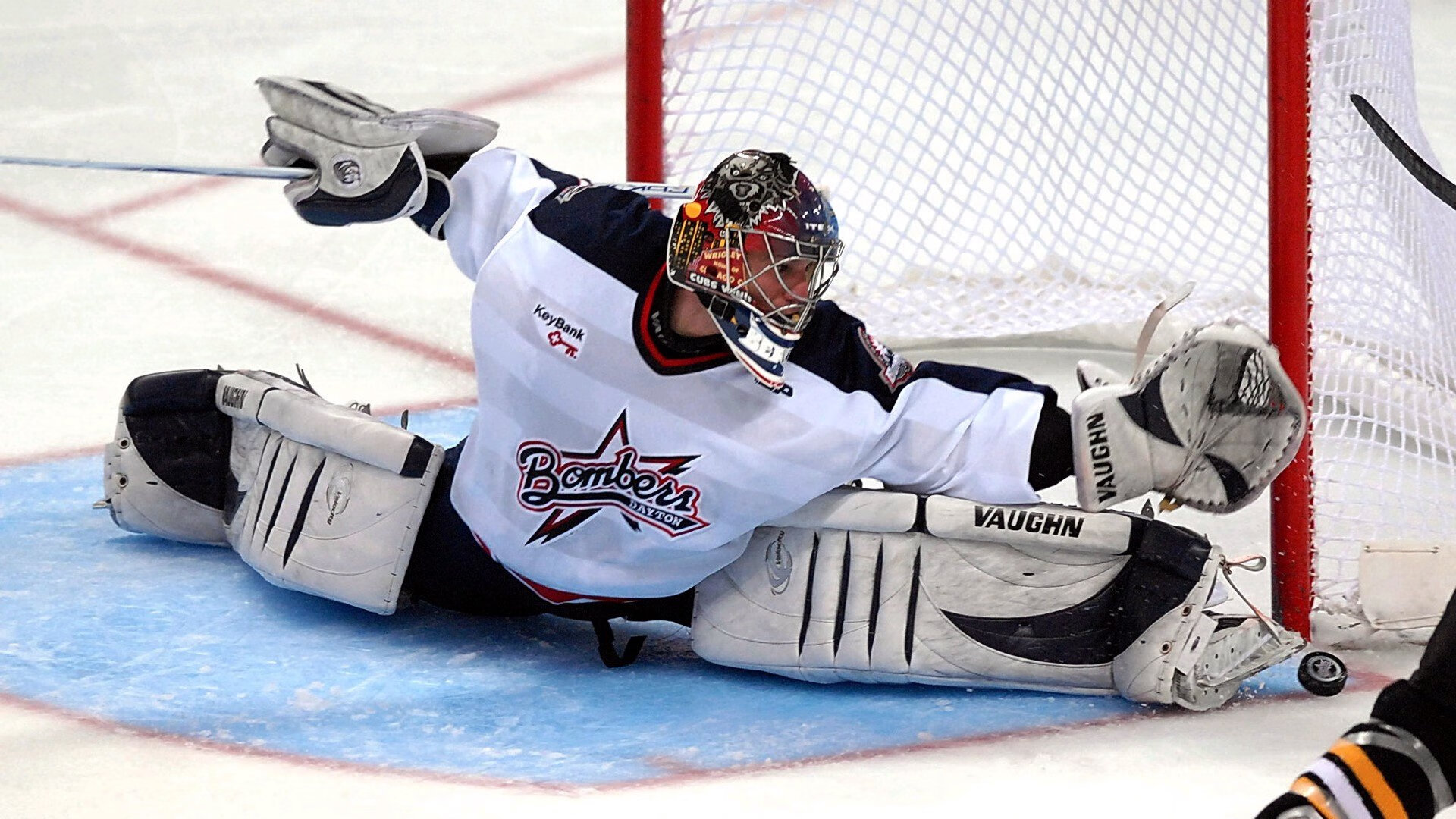 南美铁骑的咆哮,阿劳霍进攻端无人可挡,委内瑞拉碾压韩国启示录